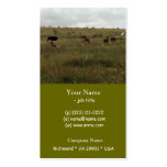 Africa Kenya wild animals Business Cards