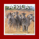 AFRICA (Mojisola A Gbadamosi Okubule) magnets