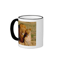 Africa, Namibia, Okonjima. Lion & lioness Coffee Mugs