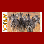 AFRICA PHOTO CARD BY Moji A Gbadamosi Okubule photo cards