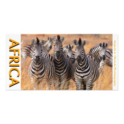 AFRICA PHOTO CARD BY Moji A Gbadamosi Okubule by adeolagbadamosi