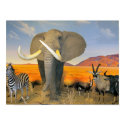 Africa Poster posters by imperfectiomism Africa Poster posters