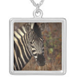Africa, South Africa, Kruger NP Zebra portrait Pendant