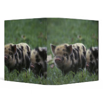 Africa, South Africa, near Gansbaii Domestic Vinyl Binders