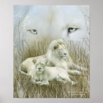 Africa - Spirit Of The White Lion Art Poster/Print