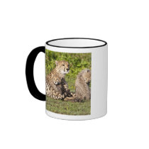 Africa. Tanzania. Cheetah mother and cubs 2 Coffee Mugs