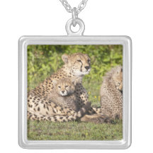 Africa. Tanzania. Cheetah mother and cubs 2 Pendants