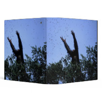 Africa, Tanzania, Glitter reaches for flying Binders