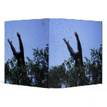 Africa, Tanzania, Glitter reaches for flying binders