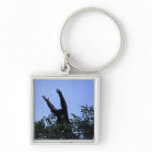 Africa, Tanzania, Glitter reaches for flying Key Chains
