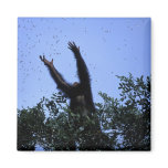 Africa, Tanzania, Glitter reaches for flying Fridge Magnet