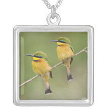 Africa. Tanzania. Little Bee Eaters at Manyara Necklace