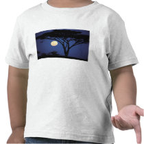 Africa, Tanzania, Tarangire. Acacia tree in T Shirt
