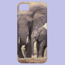 Africa, Tanzania, Tarangire National Park. 2 casemate cases