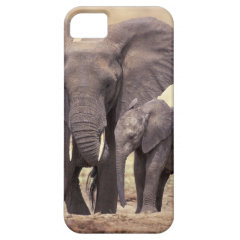 Africa, Tanzania, Tarangire National Park. 2 iPhone 5 Covers