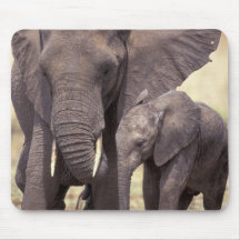 Africa, Tanzania, Tarangire National Park. 2 Mousepads