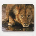 Africa-Thirst For Life Mousepad