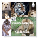 Africa Urban Wildlife, Zazzle.com/Afric... posters by African_Urban Africa Urban Wildlife, Zazzle.com/Afric... posters