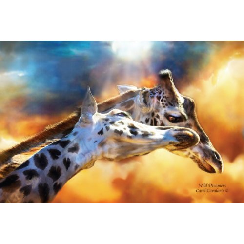 Africa - Wild Dreamers Art Poster/Print print