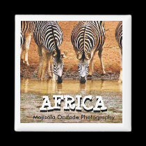 AFRICA - ZEBRA MAGNET(MOJISOLA ONIFADE)