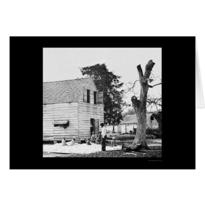 African Americans in Cotton at Port Royal, SC 1862 Cards by lc_civilwar