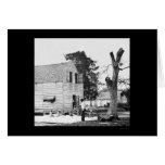 African Americans in Cotton at Port Royal, SC 1862 cards