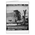 African Americans preparing cotton circa 1862 Greeting Card