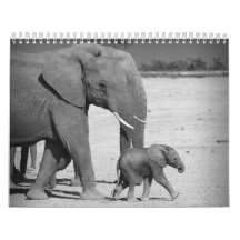 African animals Wall Calendar