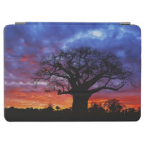 African baobab tree, Adansonia digitata, 2 iPad Air Cover at  Zazzle