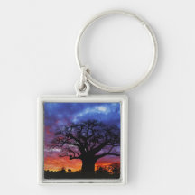 African baobab tree, Adansonia digitata, 2 Key Chains