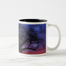 African baobab tree, Adansonia digitata, 2 Mug