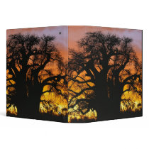 African baobab tree, Adansonia digitata, Binders