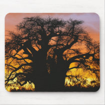 African baobab tree, Adansonia digitata, Mouse Pad