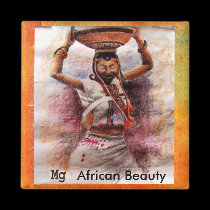 African Beauty  magnets