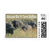 African Big Five: Cape Buffalo postage