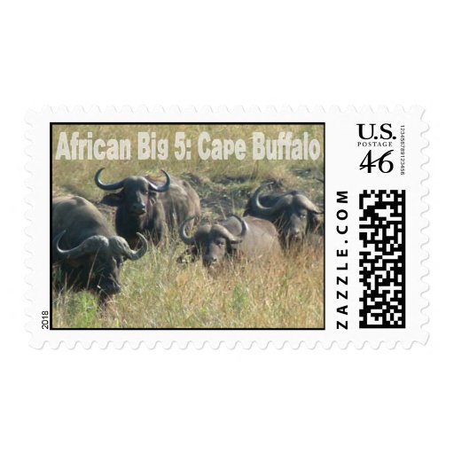 African Big Five: Cape Buffalo Stamps