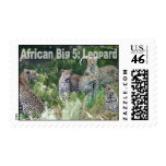 African Big Five: Leopard Stamp