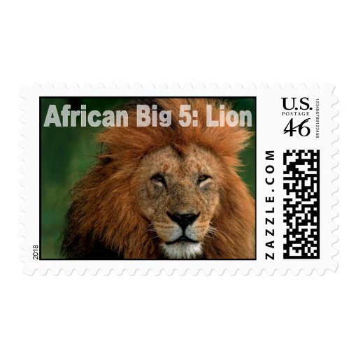 African Big Five: Lion Stamp