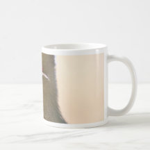 African Bird Coffee Mugs