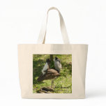 African Birds: Kori Bustard Canvas Bags