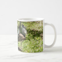 African Birds: Kori Bustard Coffee Mugs