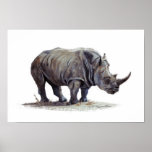 African Black Rhinoceros Posters