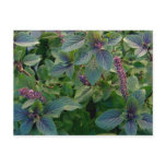 African Blue Basil Post Card