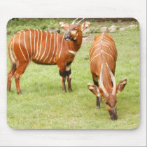 African Bongo Mousepad mousepads