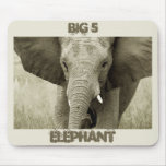 African Bull Elephant mousepad