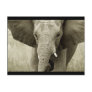 African Bull Elephant postcard (customise)
