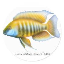 African Butterfly Peacock Cichlid stickers by twopurringcats African Butterfly Peacock Cichlid stickers