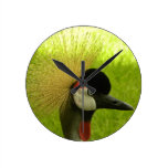 African Crowned Crane Clock wall clocks