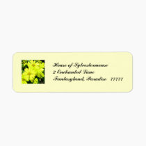 African Daisies Address Labels for Personalization labels