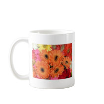 African Daisies "Riot on Broadway" mugs